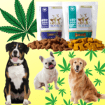 Dog CBD