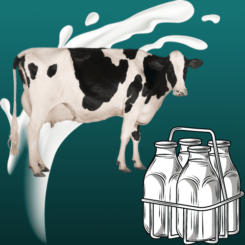 milk canva 1