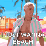 barbie ken