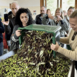 Screenshot 2026 02 14 163909